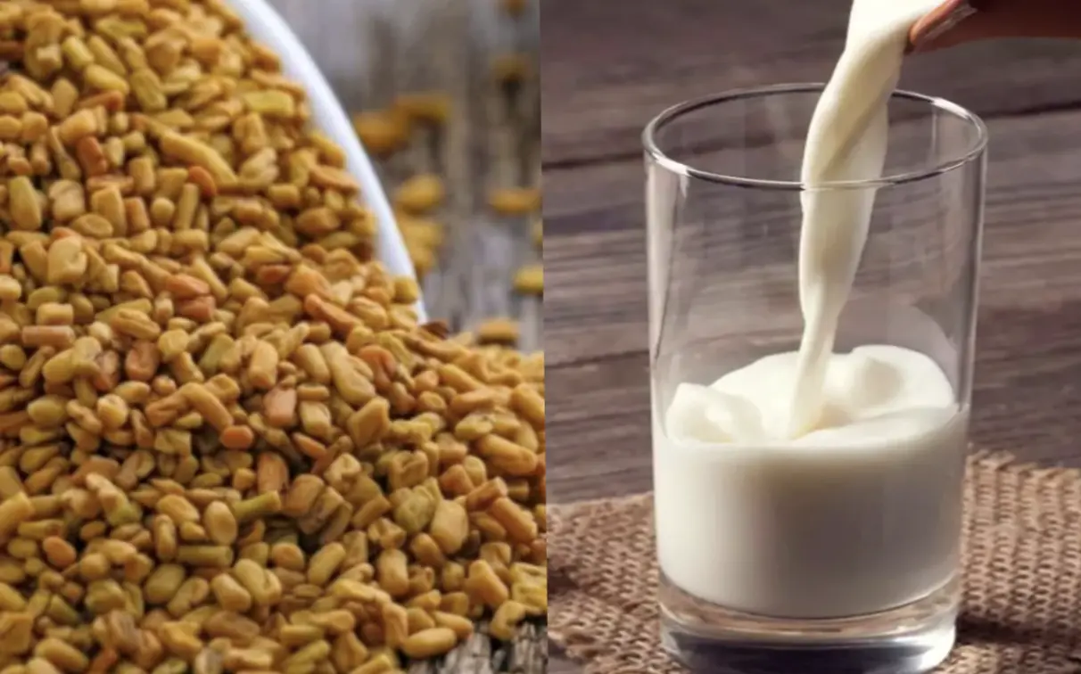 dudh Mein Methi milakar Peene ke fayde